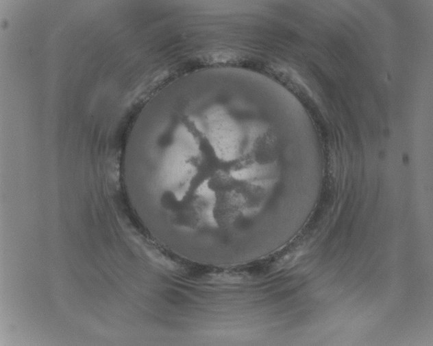 X0000075810545200610061734