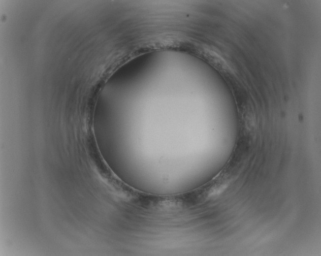 X0000075810546200610061734