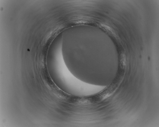 X0000075810547200610061734