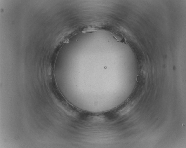 X0000075810548200610061734