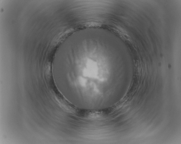 X0000075810550200610061734