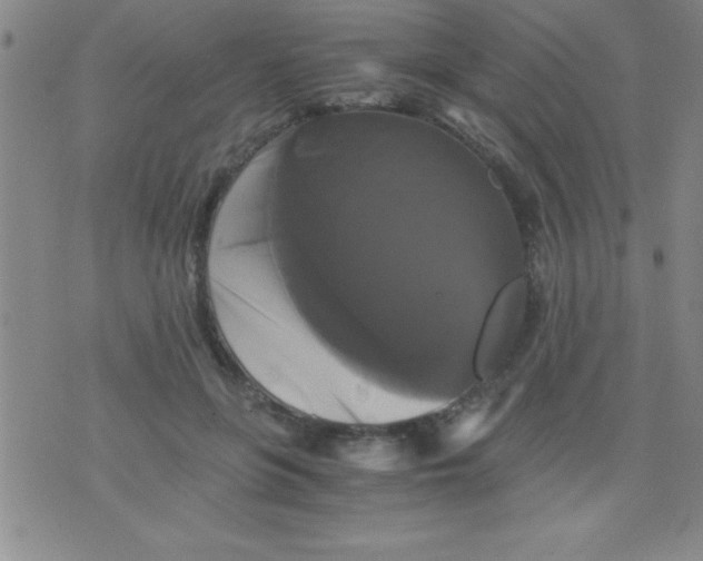 X0000075810551200610061734