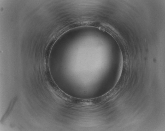 X0000075810552200610061734