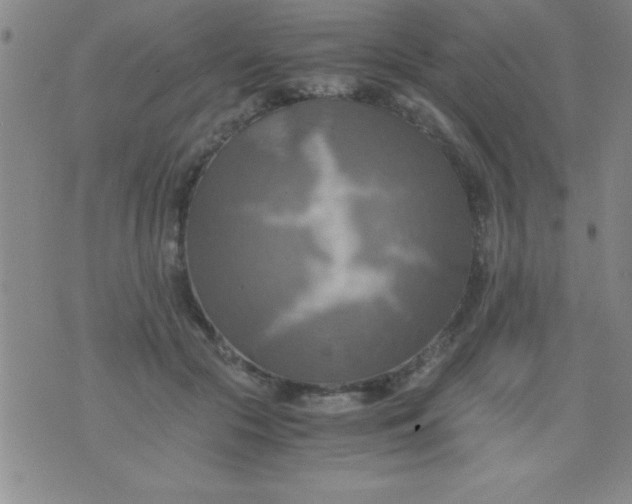 X0000075810553200610061734