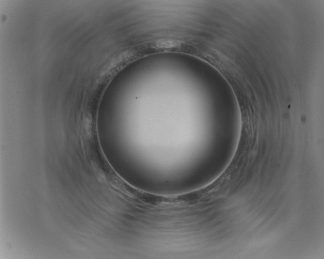 X0000075810556200610061734