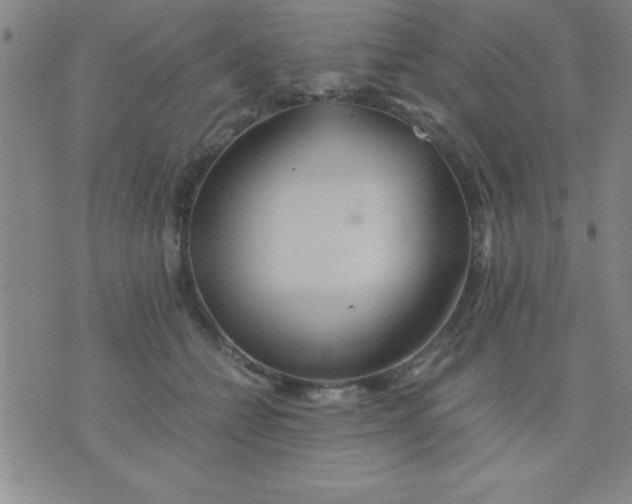 X0000075810558200610061734