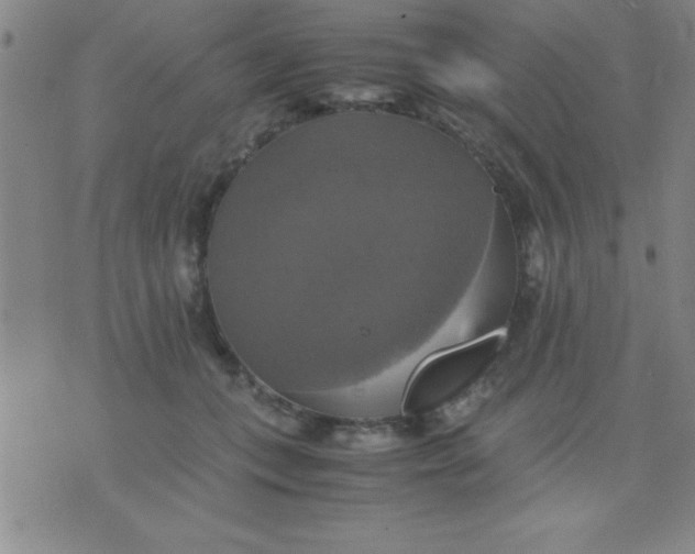 X0000075810559200610061734