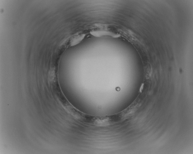 X0000075810560200610061734