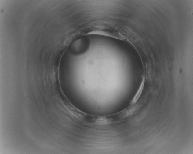 X0000075810562200610061734