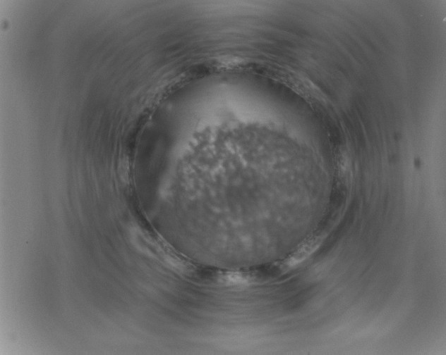 X0000075810565200610061735