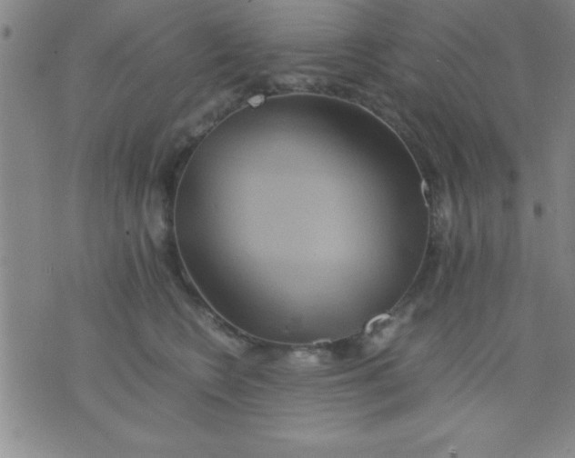 X0000075810566200610061735