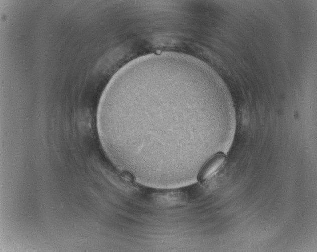 X0000075810567200610061735