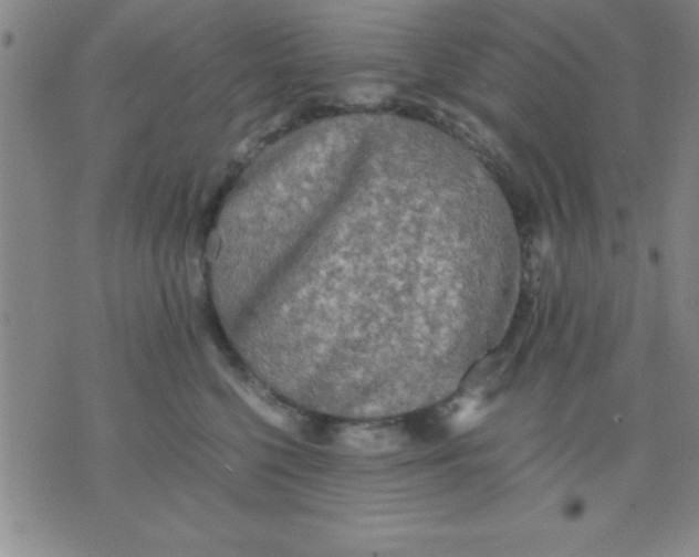 X0000075810568200610061735