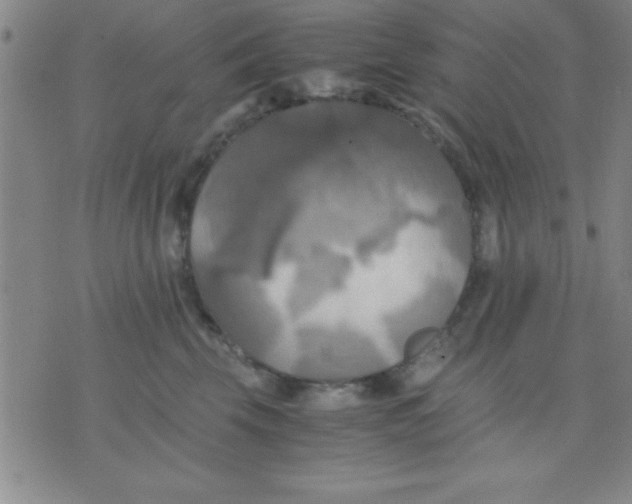 X0000075810569200610061735