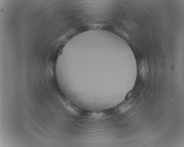 X0000075810570200610061735