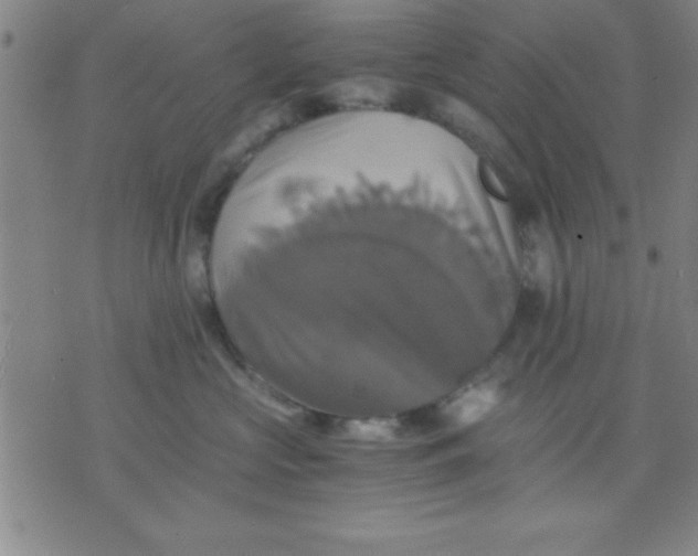 X0000075810573200610061735