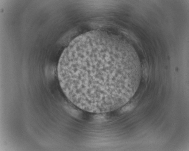 X0000075810574200610061735