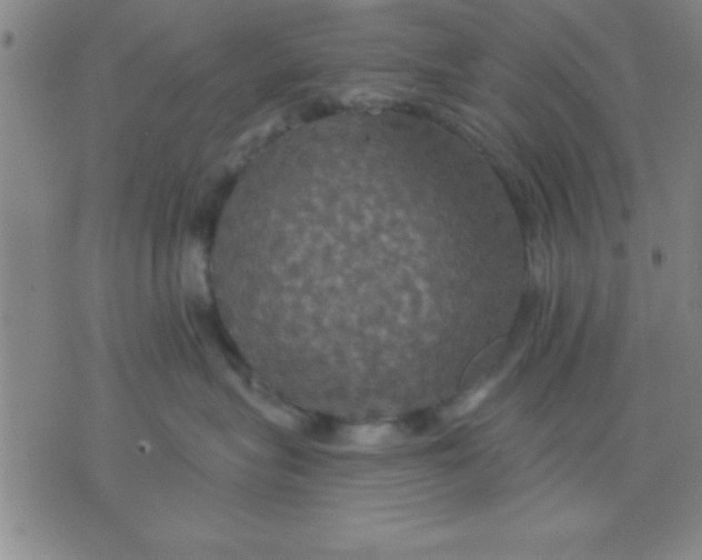 X0000075810575200610061735