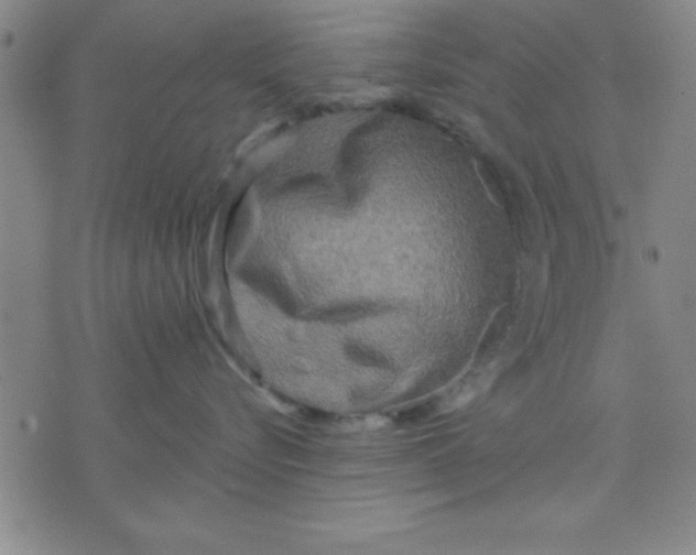 X0000075810576200610061735