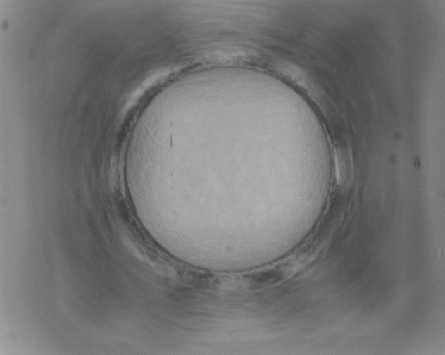 X0000075810579200610061734