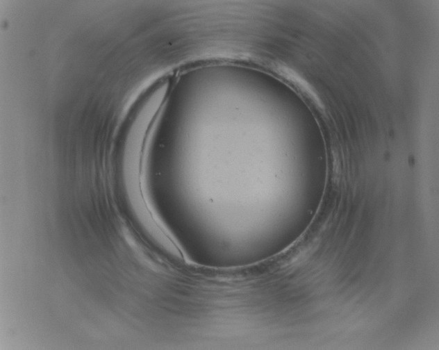 X0000075810580200610061734