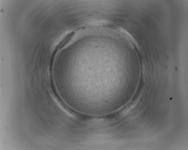 X0000075810581200610061734