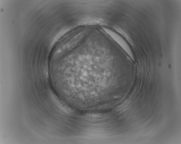 X0000075810582200610061734