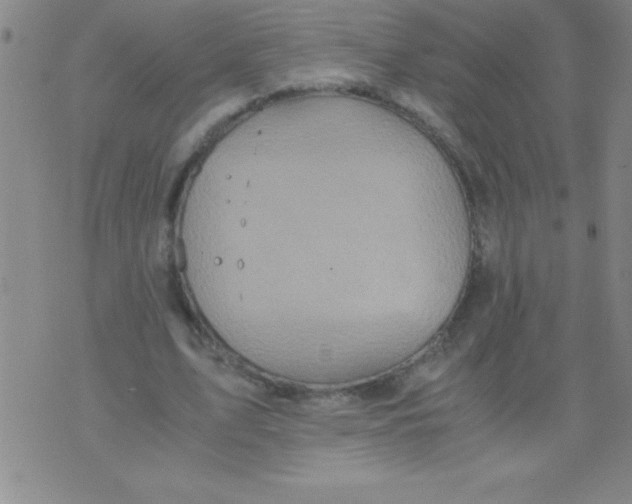 X0000075810583200610061734