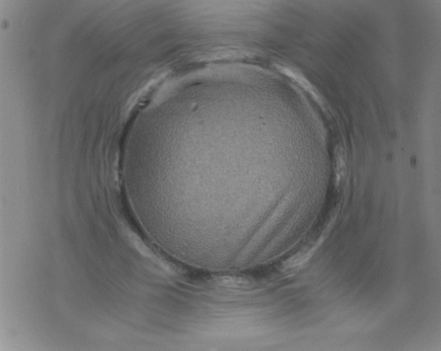 X0000075810585200610061734