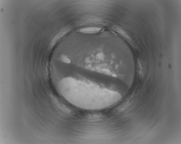 X0000075810586200610061734