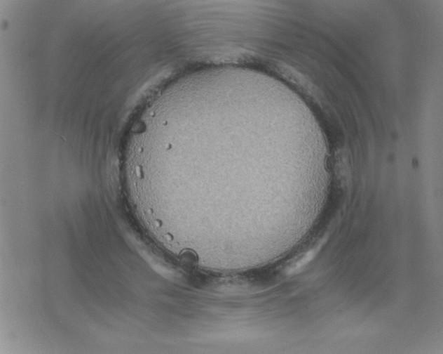 X0000075810589200610061734