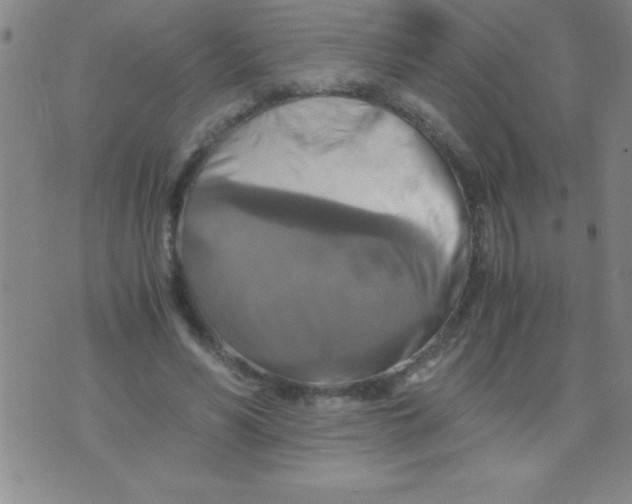 X0000075810590200610061734