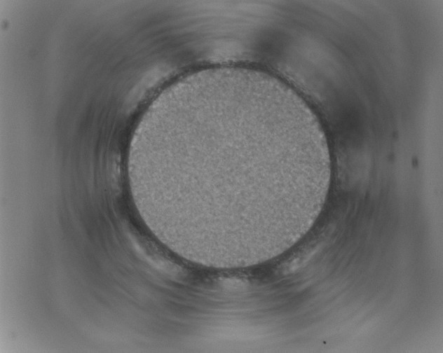 X0000075810592200610061734