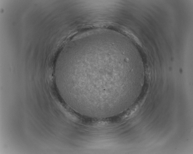 X0000075810593200610061734