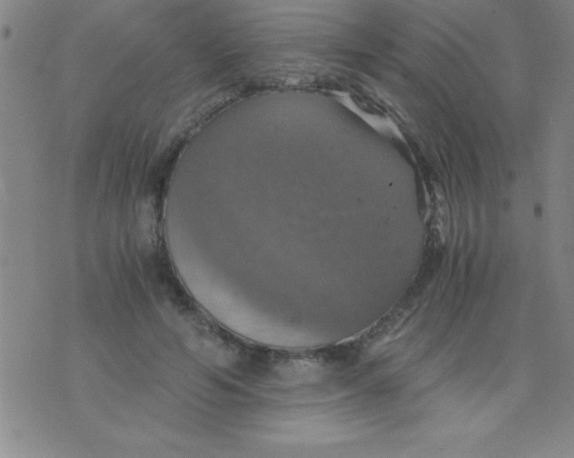 X0000075810594200610061734