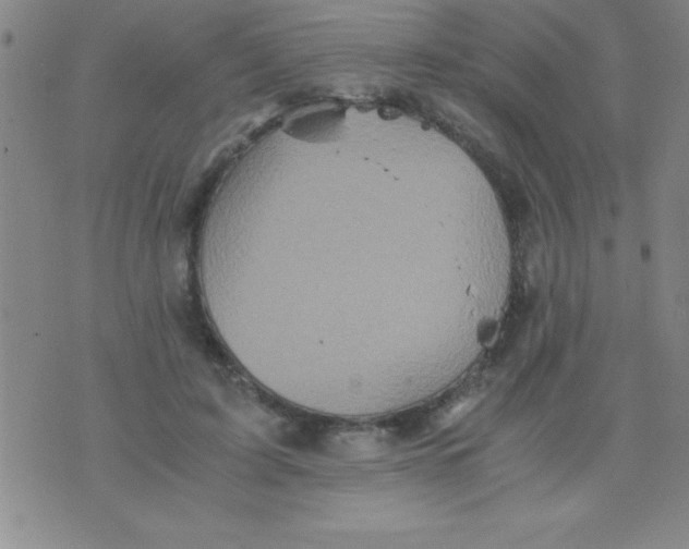 X0000075810595200610061734