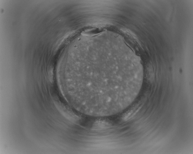 X0000075810596200610061734