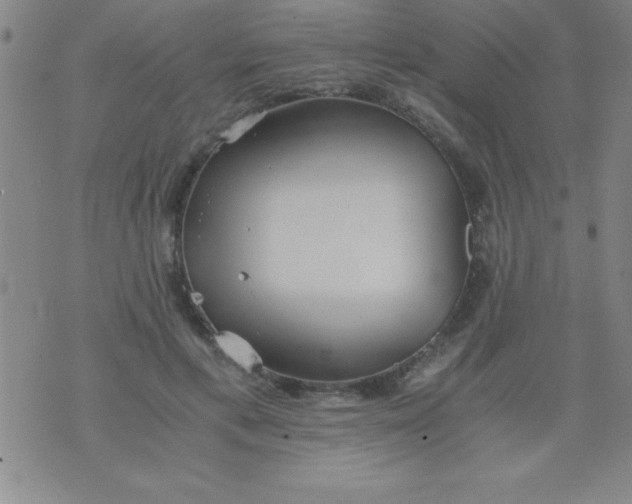 X0000075810597200610061734