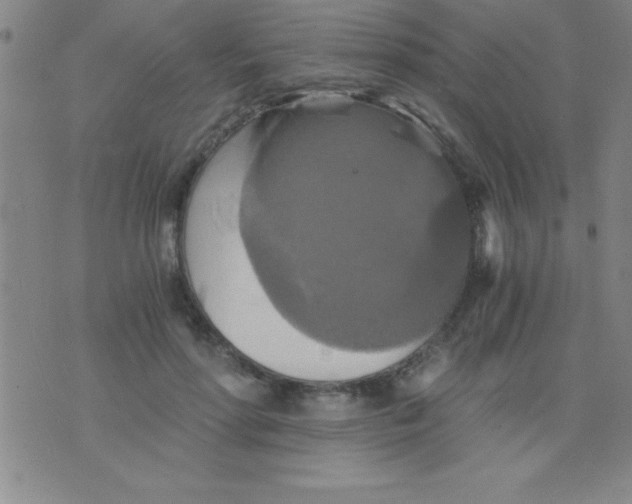 X0000075810598200610061734