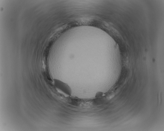 X0000075810599200610061734