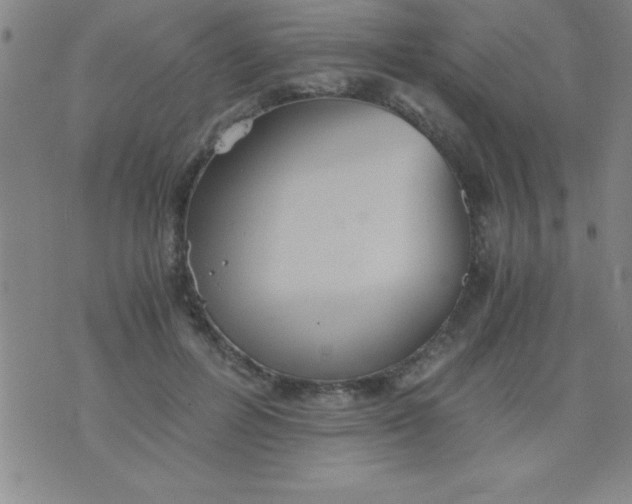 X0000075810600200610061734