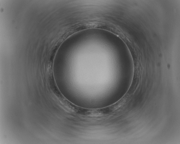 X0000075810601200610061734