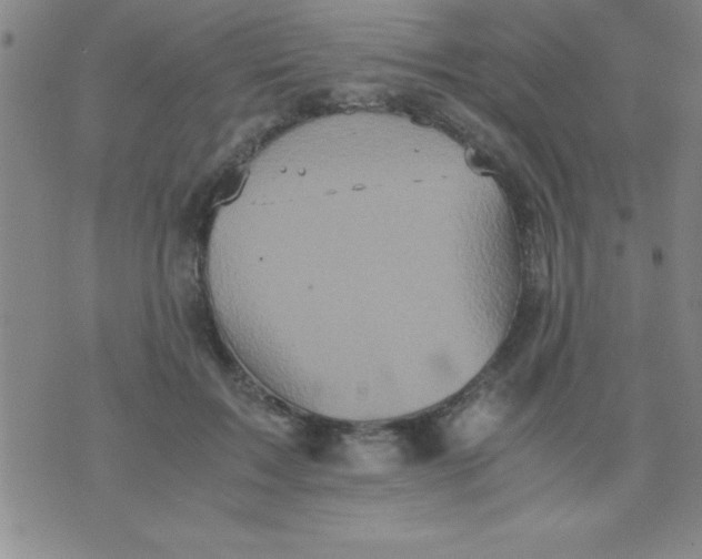 X0000075810603200610061734