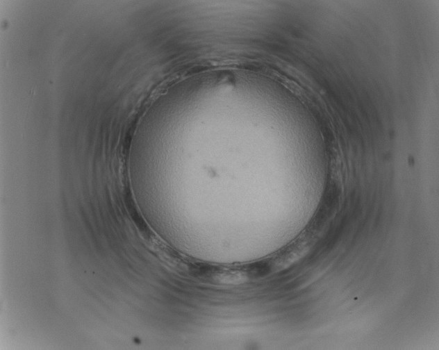 X0000075810604200610061733