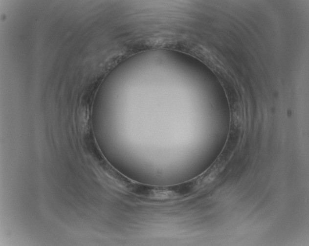 X0000075810605200610061733