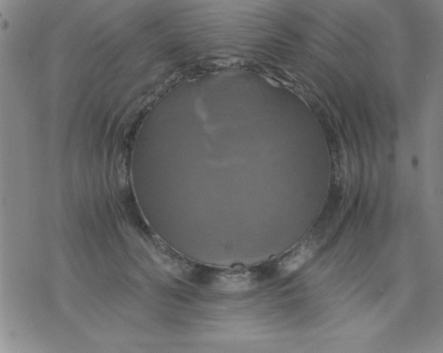 X0000075810606200610061733