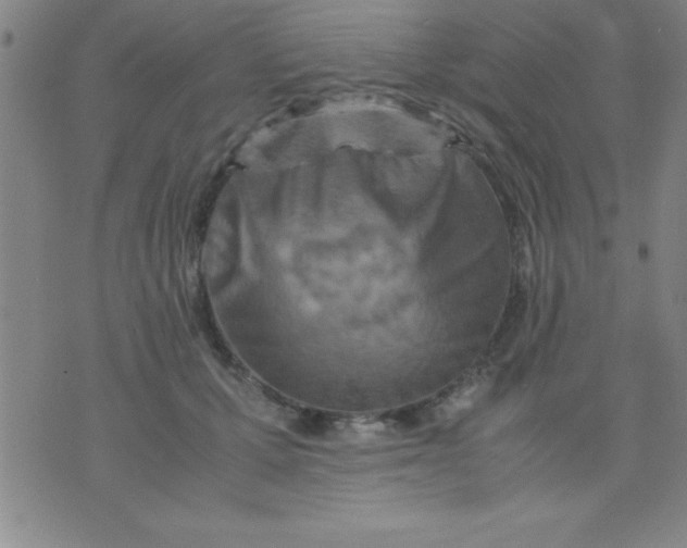 X0000075810607200610061733