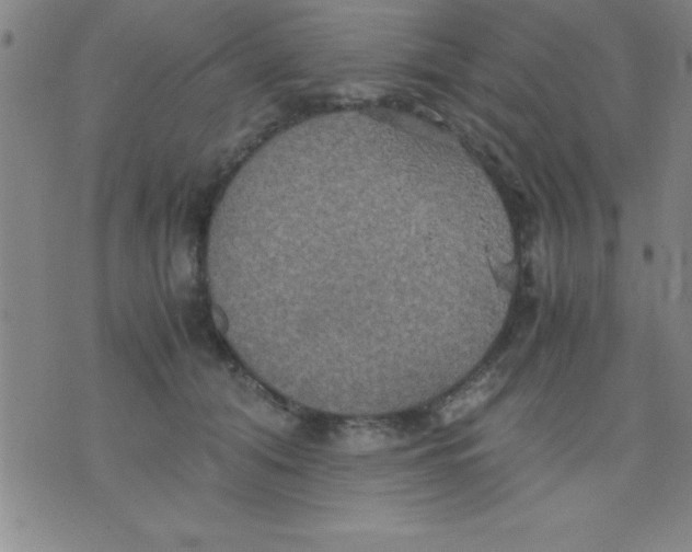 X0000075810608200610061733