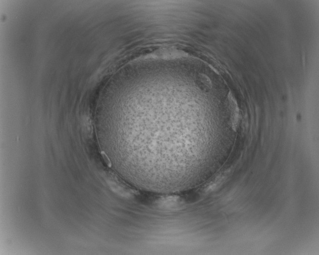 X0000075810609200610061733