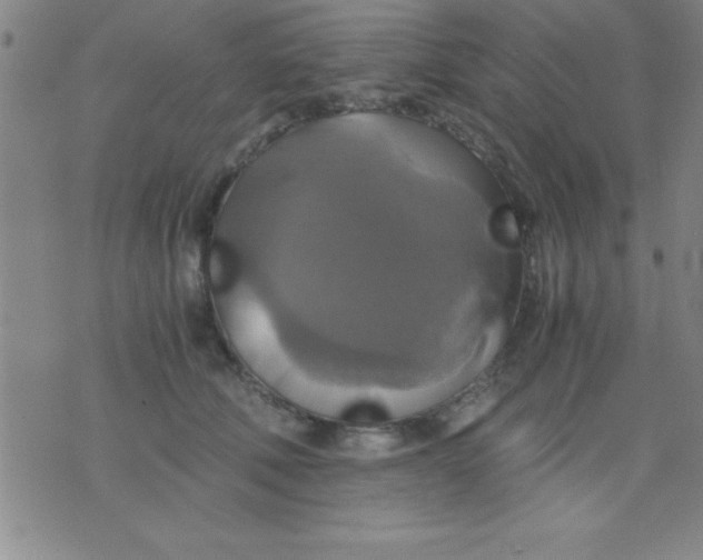 X0000075810610200610061733